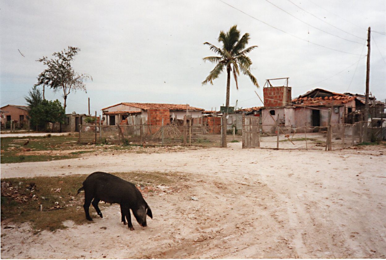 cuba-pics-cathy-howieson20190102_0007.jpg