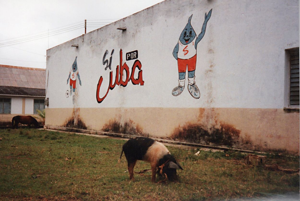 cuba-pics-cathy-howieson20190102_0010.jpg